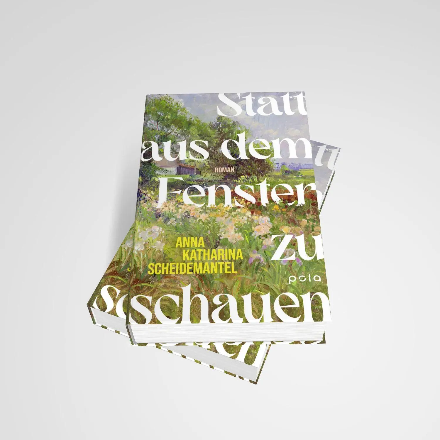 Bild: 9783759600554 | Statt aus dem Fenster zu schauen | Anna Katharina Scheidemantel | Buch
