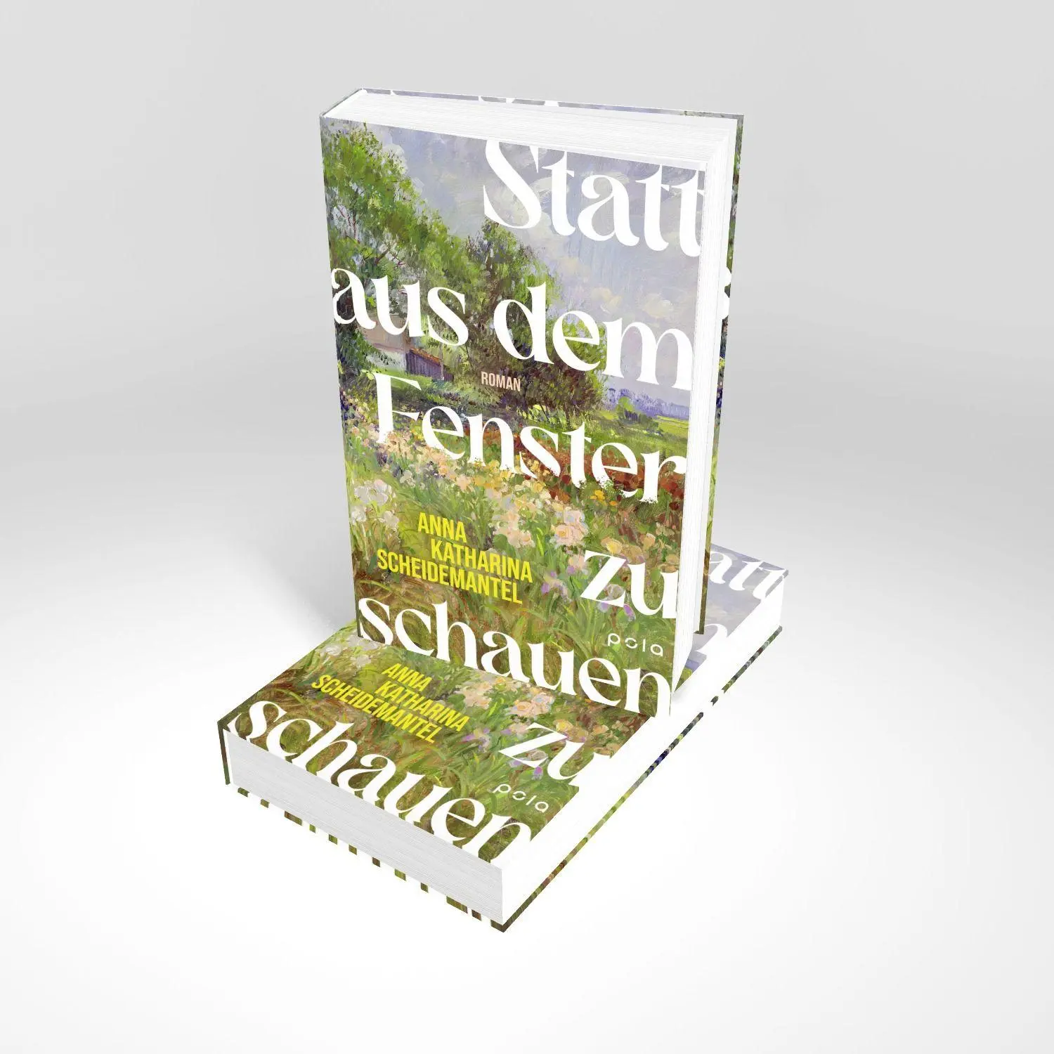 Bild: 9783759600554 | Statt aus dem Fenster zu schauen | Anna Katharina Scheidemantel | Buch