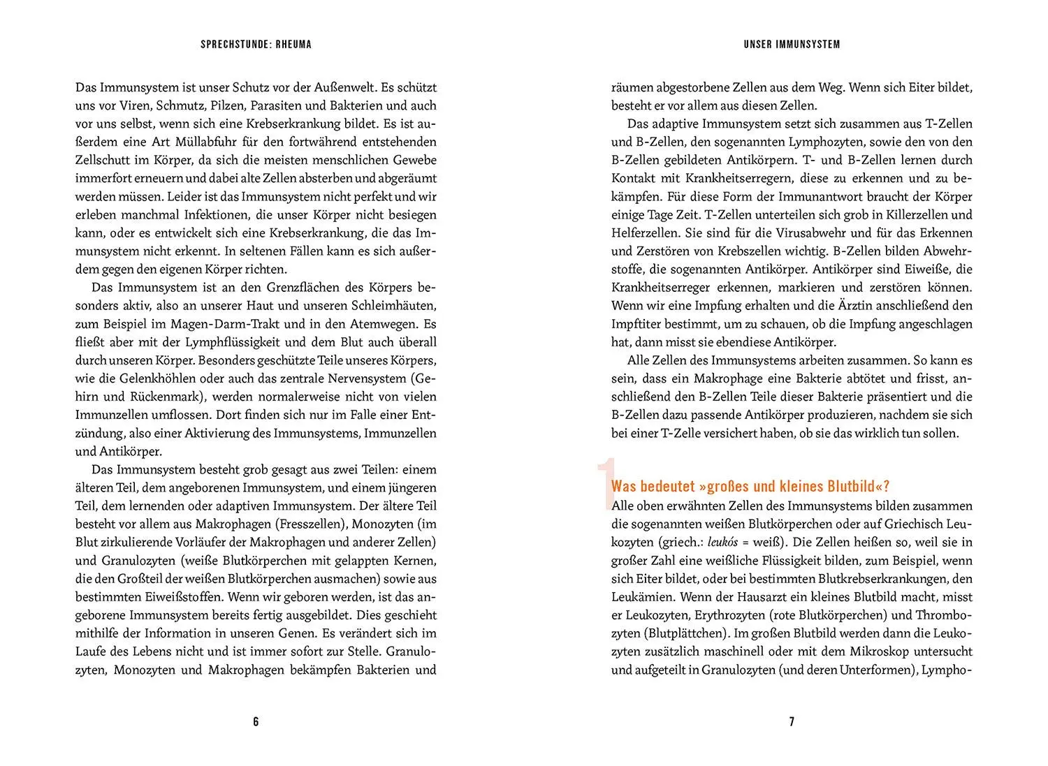 Bild: 9783968590554 | In der Sprechstunde: Rheuma | Erkennen - verstehen - behandeln | Buch