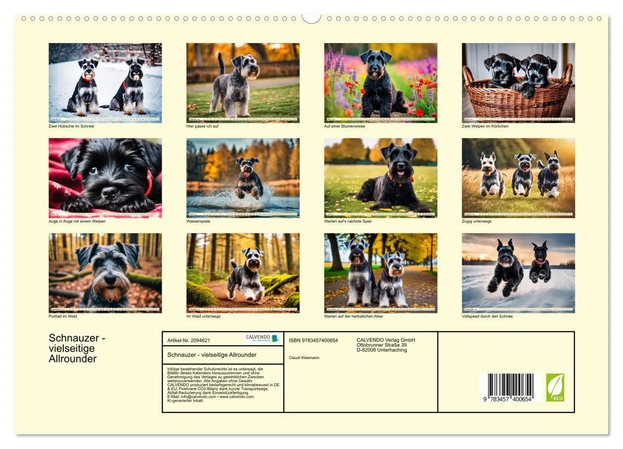 Bild: 9783457400654 | Schnauzer - vielseitige Allrounder (hochwertiger Premium...