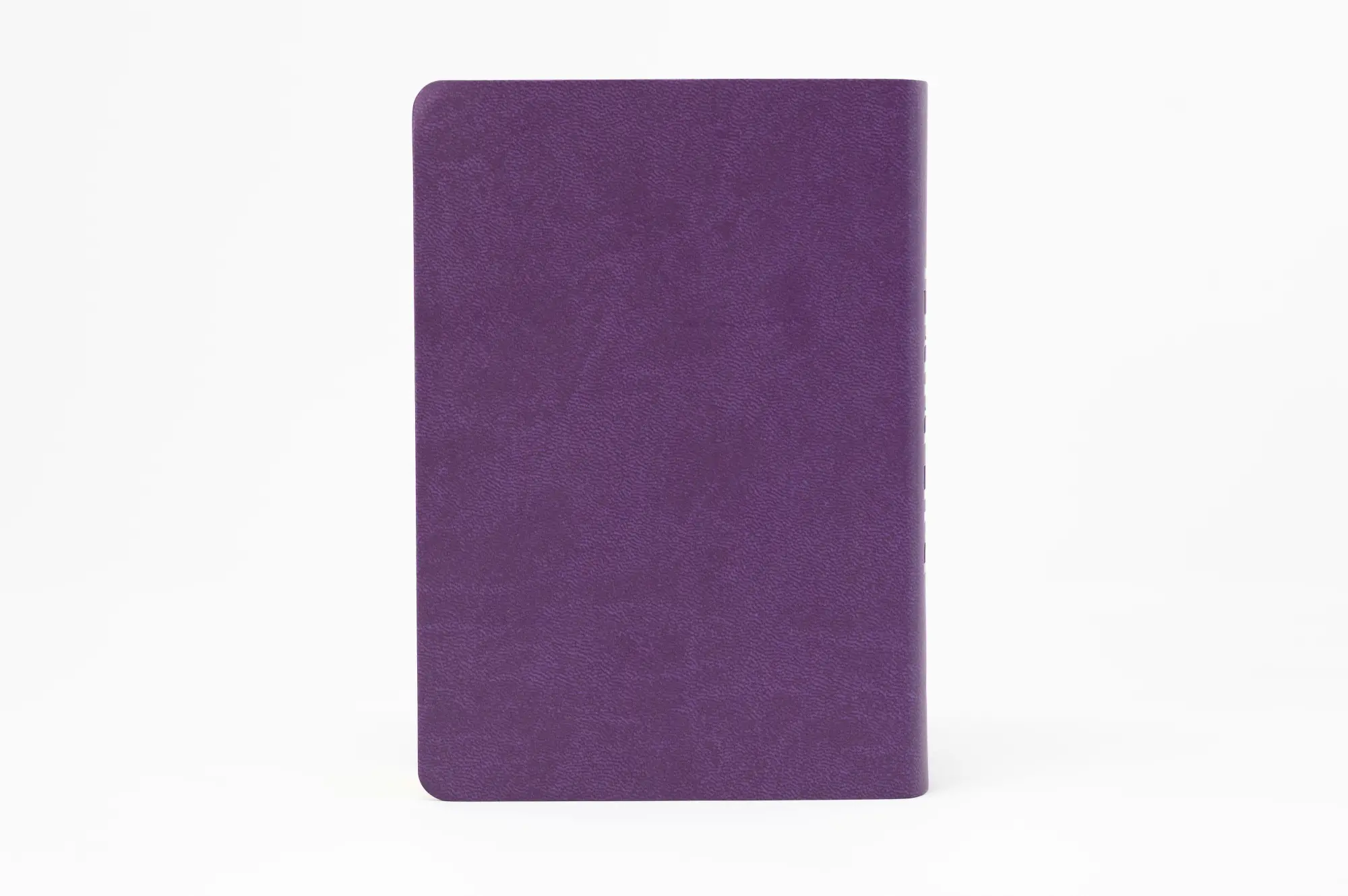 Bild: 9783460440654 | Die Bibel. Senfkorn, Handschmeichler lila | Deutschlands | Taschenbuch