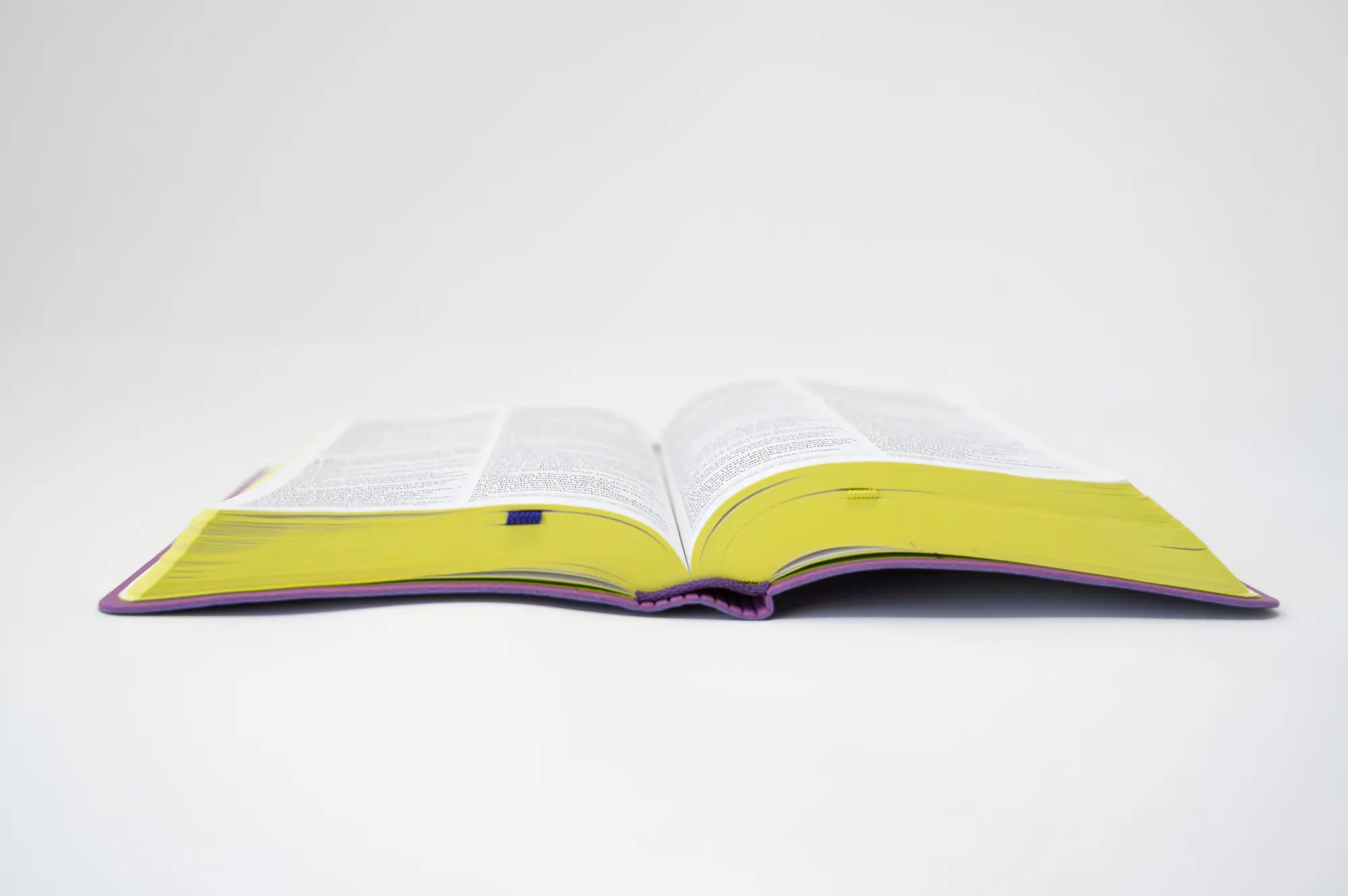 Bild: 9783460440654 | Die Bibel. Senfkorn, Handschmeichler lila | Deutschlands | Taschenbuch