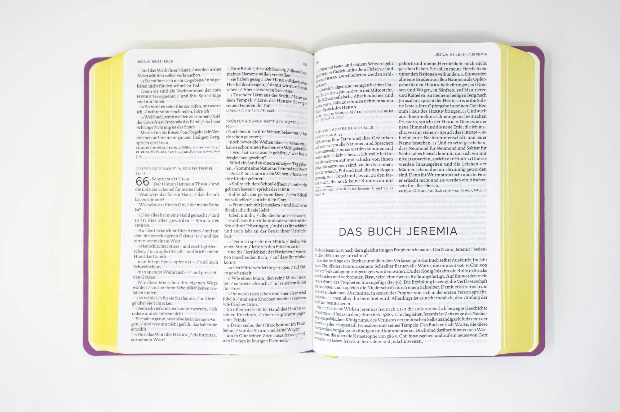 Bild: 9783460440654 | Die Bibel. Senfkorn, Handschmeichler lila | Deutschlands | Taschenbuch
