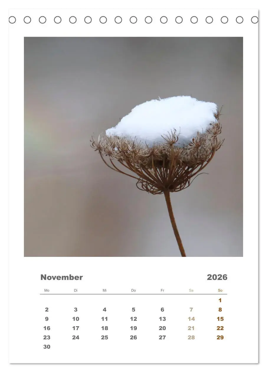 Bild: 9783516350654 | Minimalistisch, Gräser, Blüten, Blätter und Zweige im Fokus...