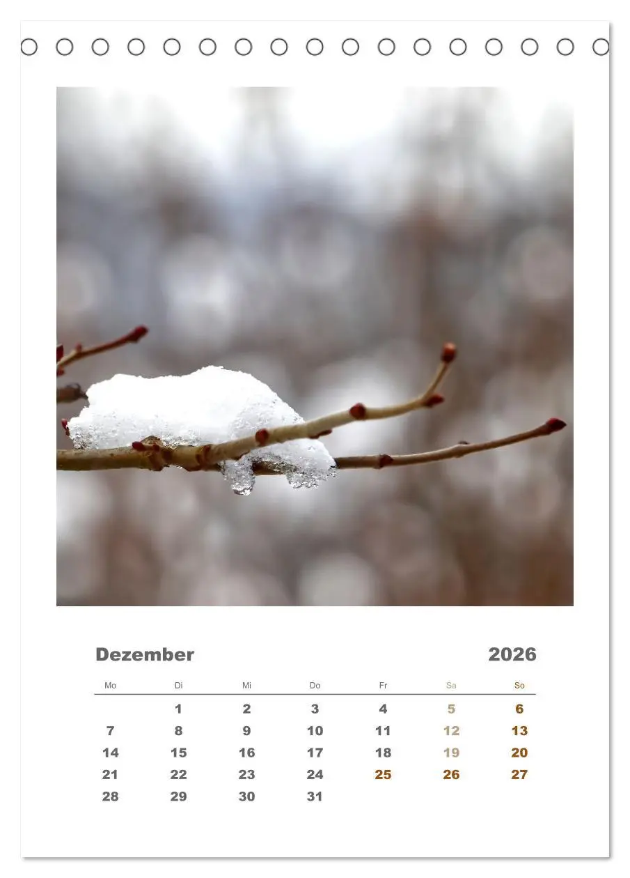 Bild: 9783516350654 | Minimalistisch, Gräser, Blüten, Blätter und Zweige im Fokus...