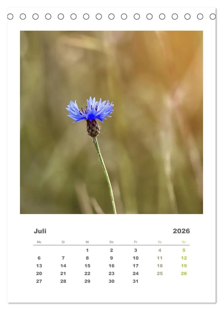 Bild: 9783516350654 | Minimalistisch, Gräser, Blüten, Blätter und Zweige im Fokus...