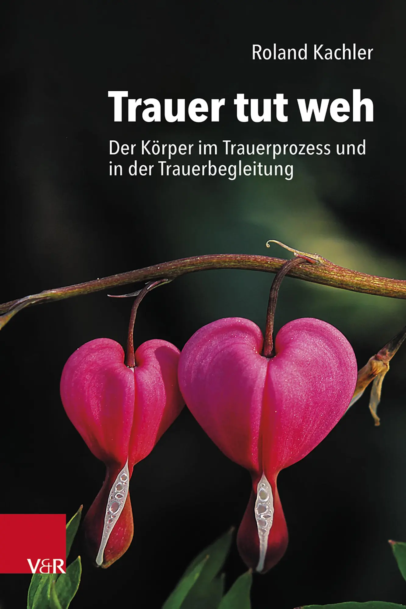 Cover: 9783525400654 | Trauer tut weh | Roland Kachler | Taschenbuch | 202 S. | Deutsch
