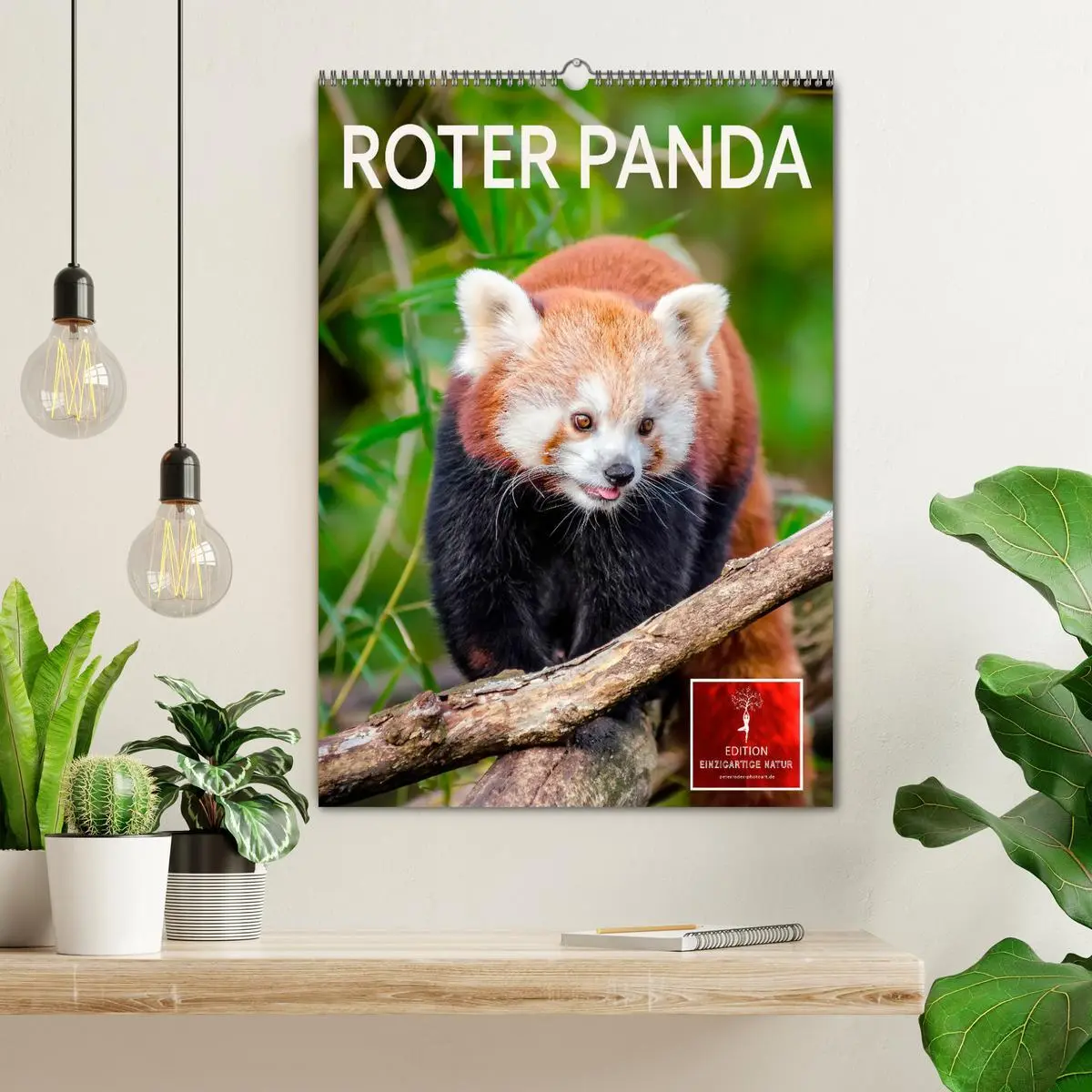 Bild: 9783516410754 | Roter Panda (Wandkalender 2026 DIN A2 hoch), CALVENDO Monatskalender