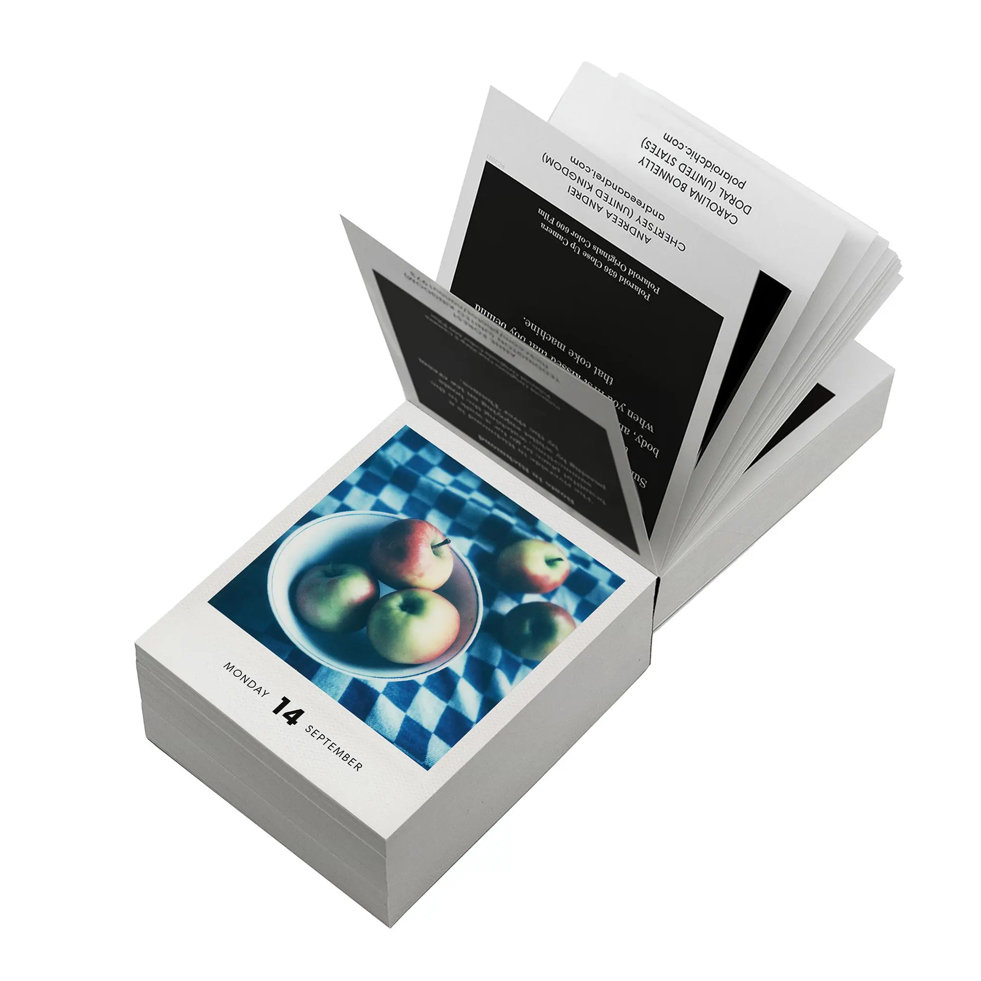 Bild: 9783949070754 | PHOTODARIUM 2026 | A Calendar for 2026 with 365 Polaroid Pictures