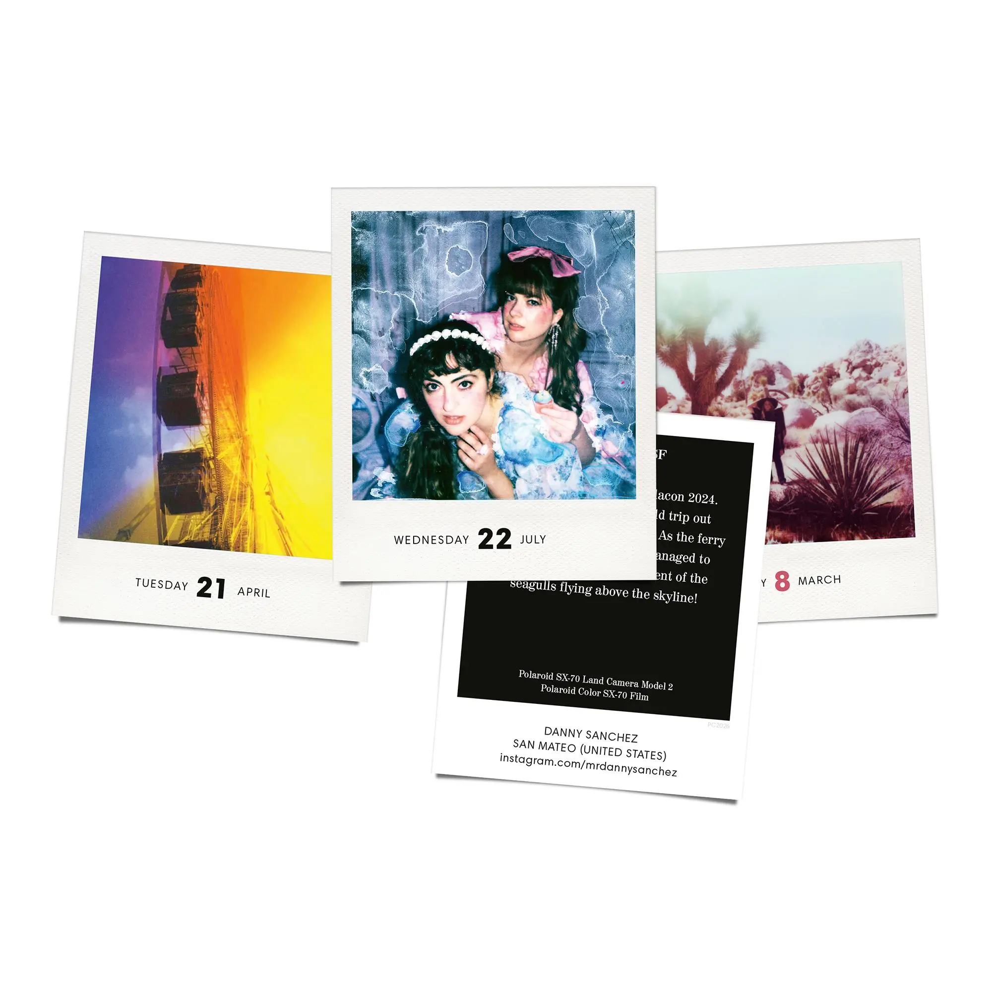 Bild: 9783949070754 | PHOTODARIUM 2026 | A Calendar for 2026 with 365 Polaroid Pictures