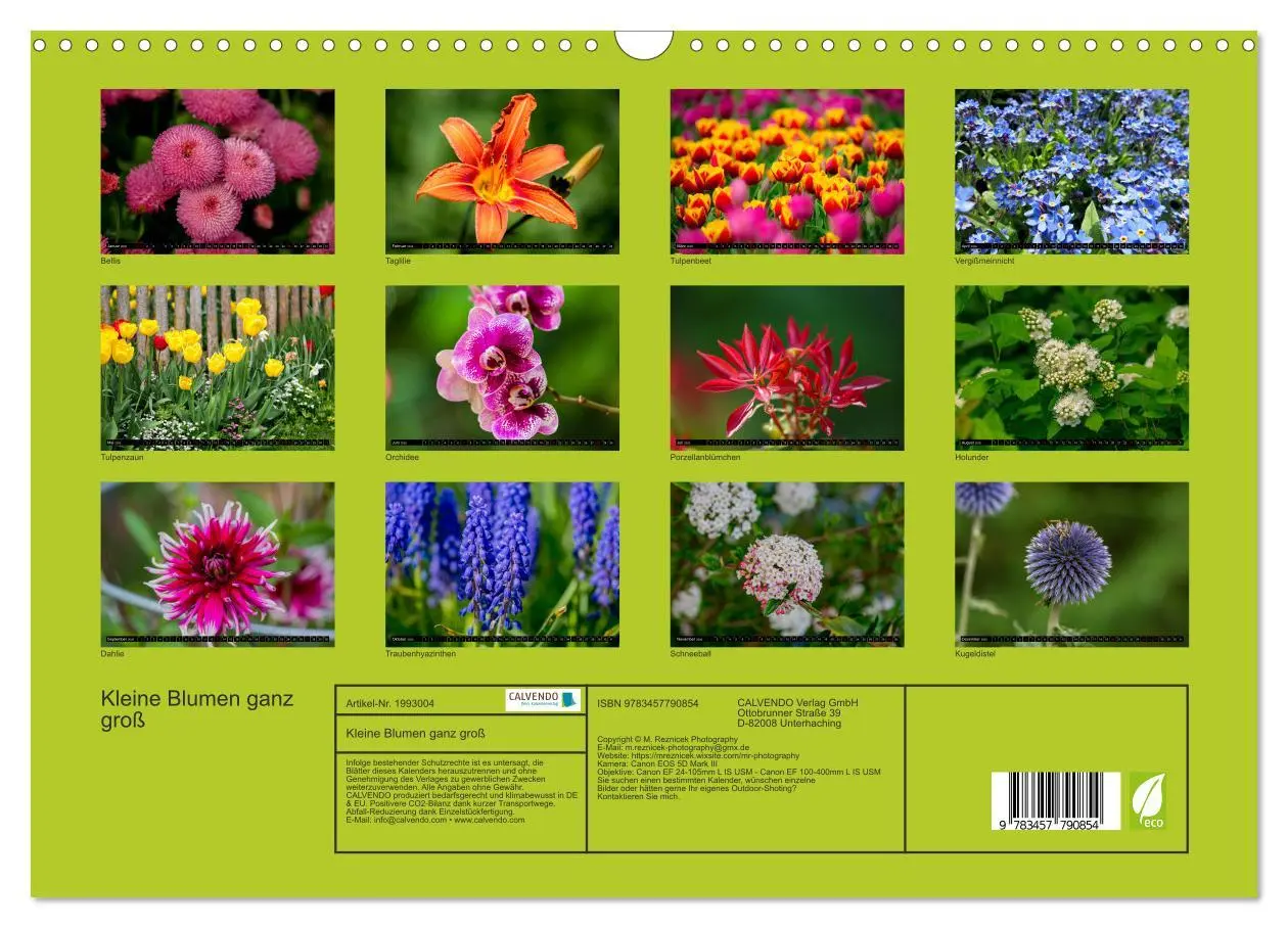 Bild: 9783457790854 | Kleine Blumen ganz groß (Wandkalender 2026 DIN A3 quer), CALVENDO...