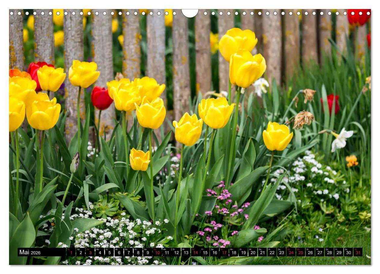 Bild: 9783457790854 | Kleine Blumen ganz groß (Wandkalender 2026 DIN A3 quer), CALVENDO...