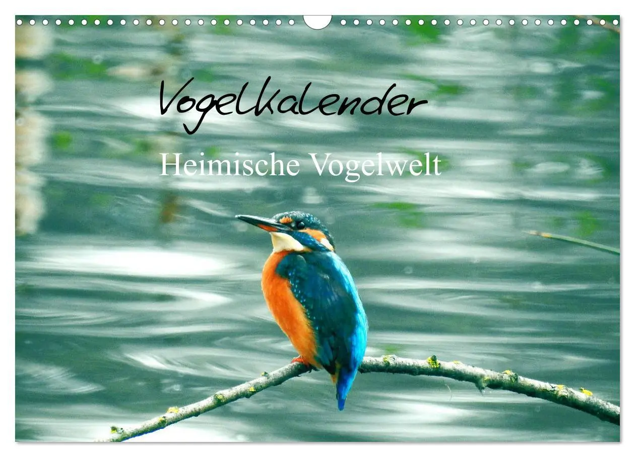Cover: 9783457930854 | Vogelkalender (Wandkalender 2026 DIN A3 quer), CALVENDO Monatskalender