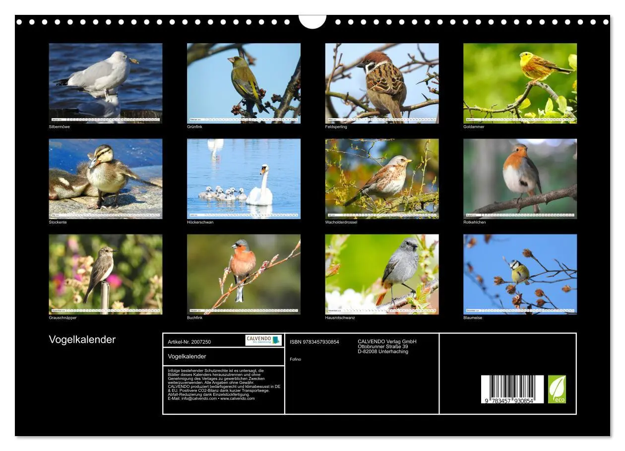 Bild: 9783457930854 | Vogelkalender (Wandkalender 2026 DIN A3 quer), CALVENDO Monatskalender