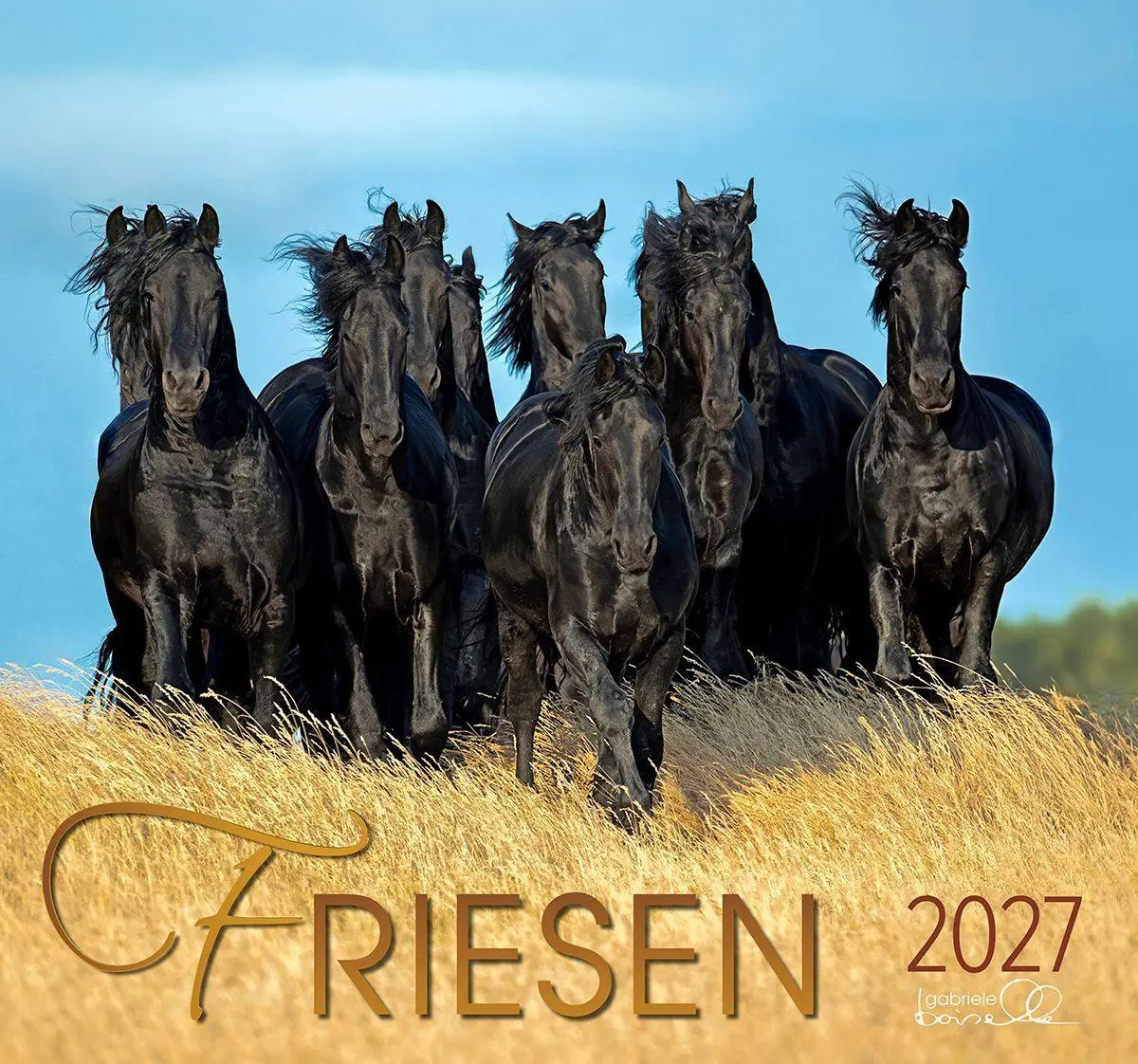Cover: 9783964120854 | Friesen 2027 | Friesen Pferde | Gabriele Boiselle | Kalender | 13 S.