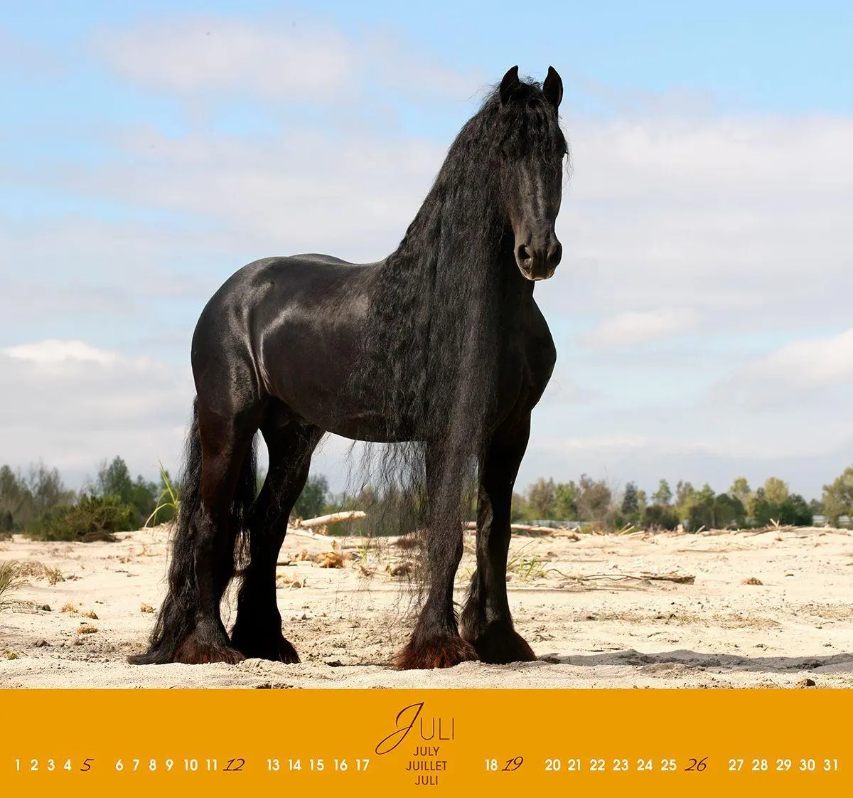 Bild: 9783964120854 | Friesen 2027 | Friesen Pferde | Gabriele Boiselle | Kalender | 13 S.