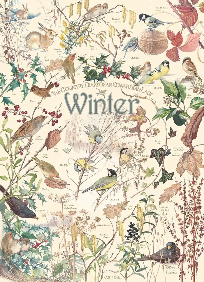 Bild: 625012400954 | COBBLE HILL PUZZLES - Tagebuch: Winterzeit 1000 Teile | Spiel | 2025