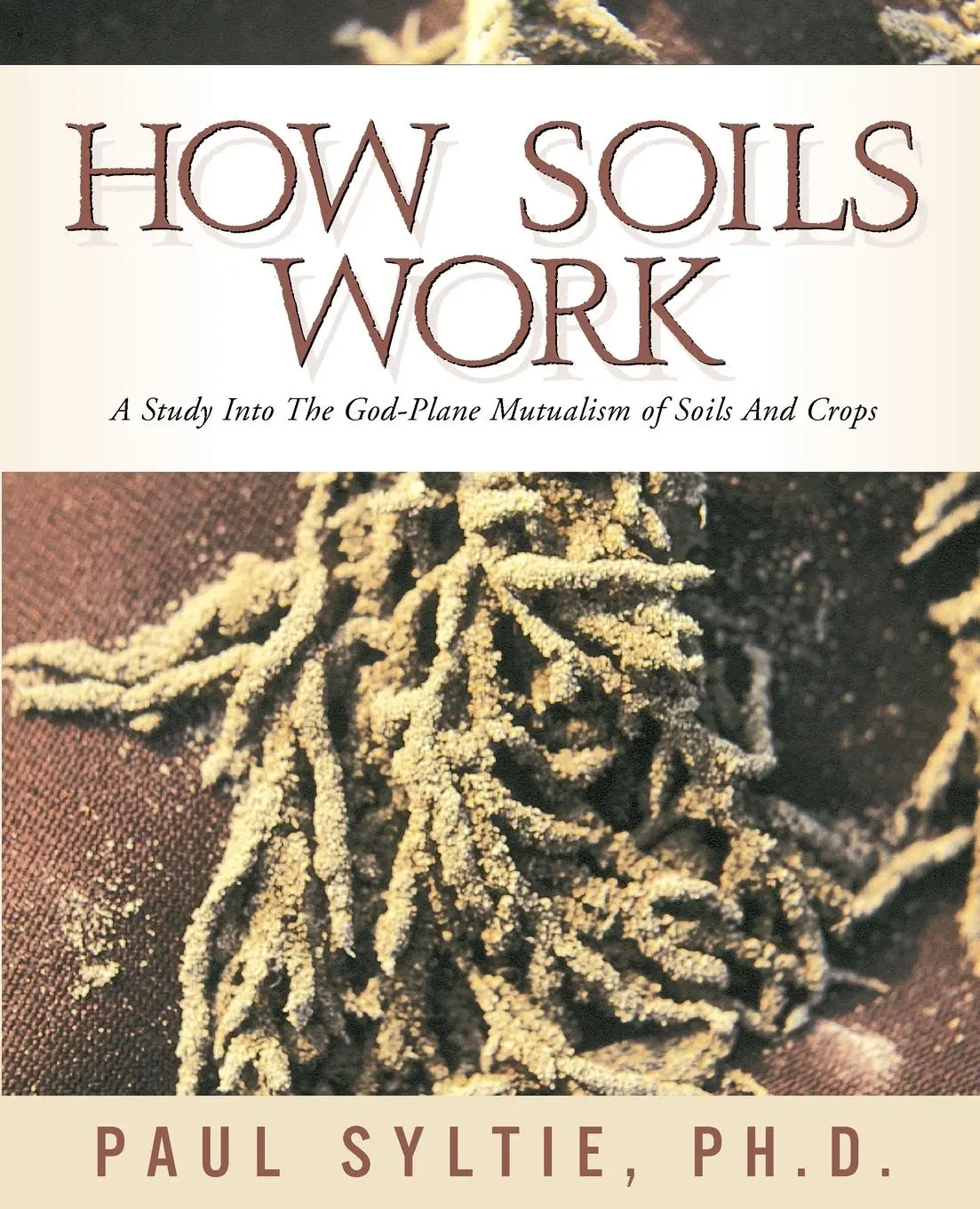 Cover: 9781591600954 | How Soils Work | Paul W. Syltie | Taschenbuch | Englisch | 2002