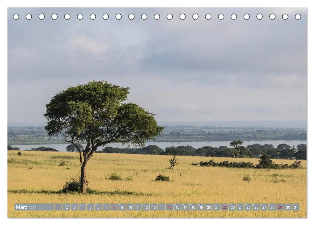 Bild: 9783457850954 | Geheimtipp Uganda (Tischkalender 2026 DIN A5 quer), CALVENDO...