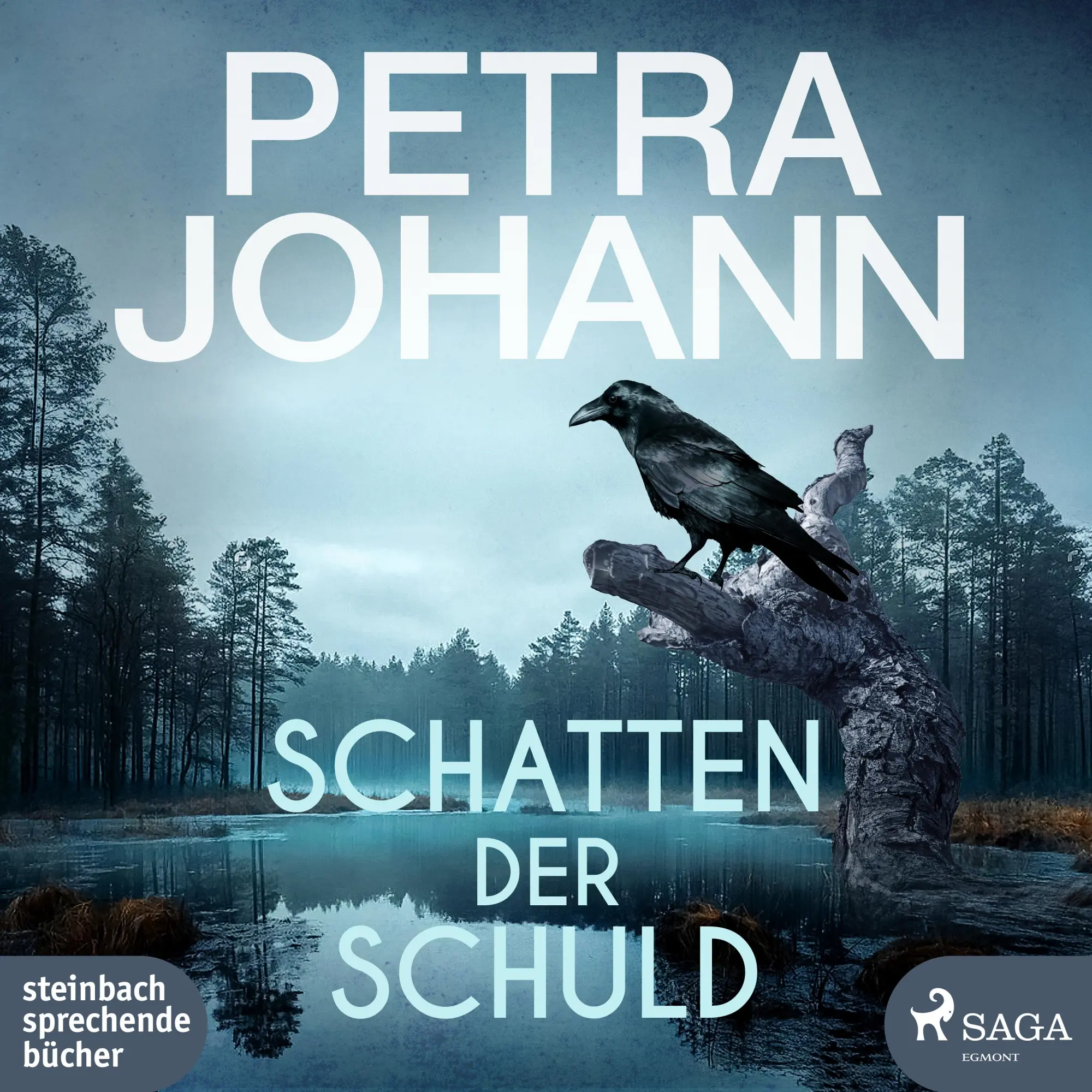 Cover: 9783987360954 | Schatten der Schuld | Petra Johann | MP3 | Deutsch | 2025