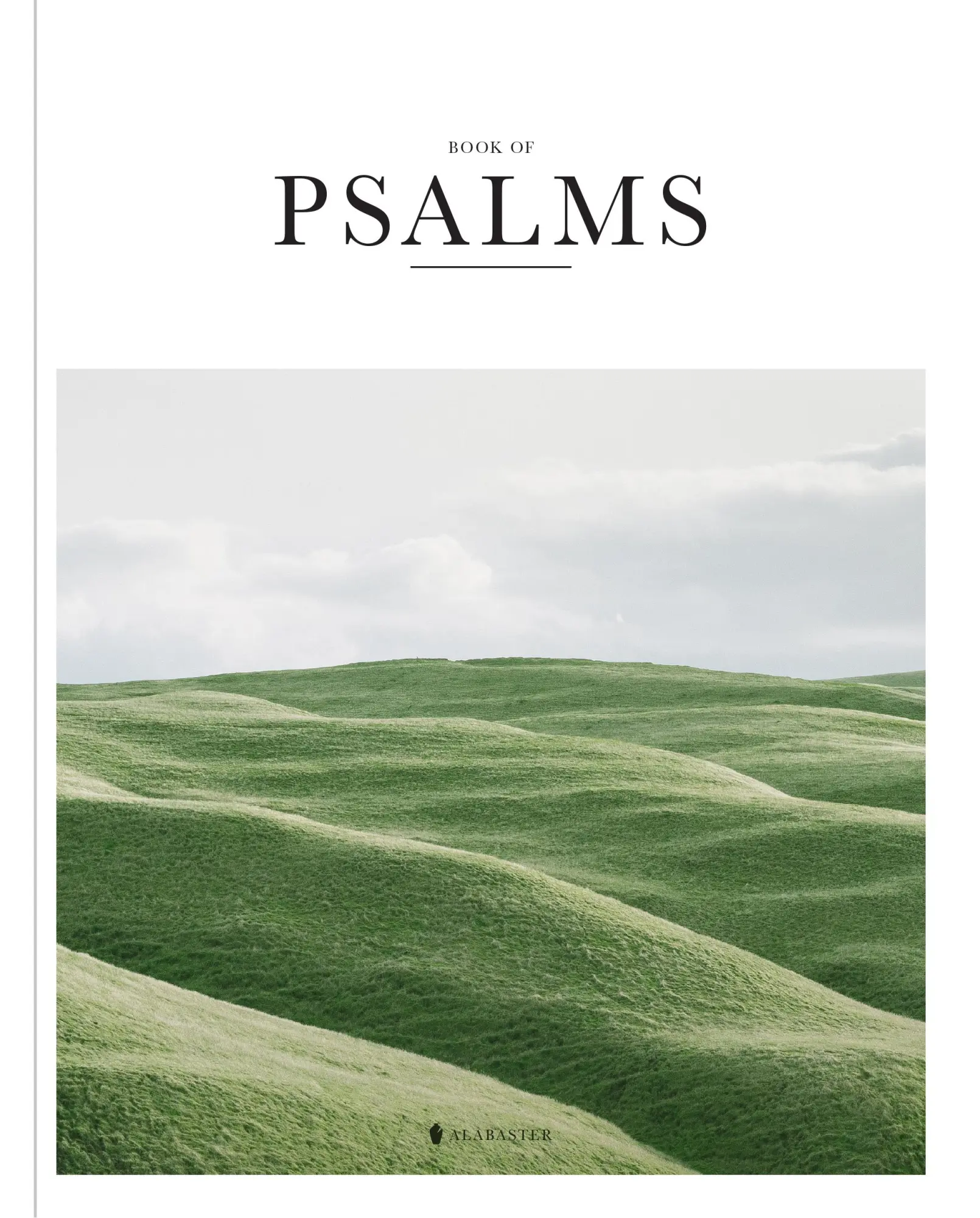 Cover: 9780998741154 | Book of Psalms (Sc, Nlt) | Alabaster Co | Taschenbuch | Englisch