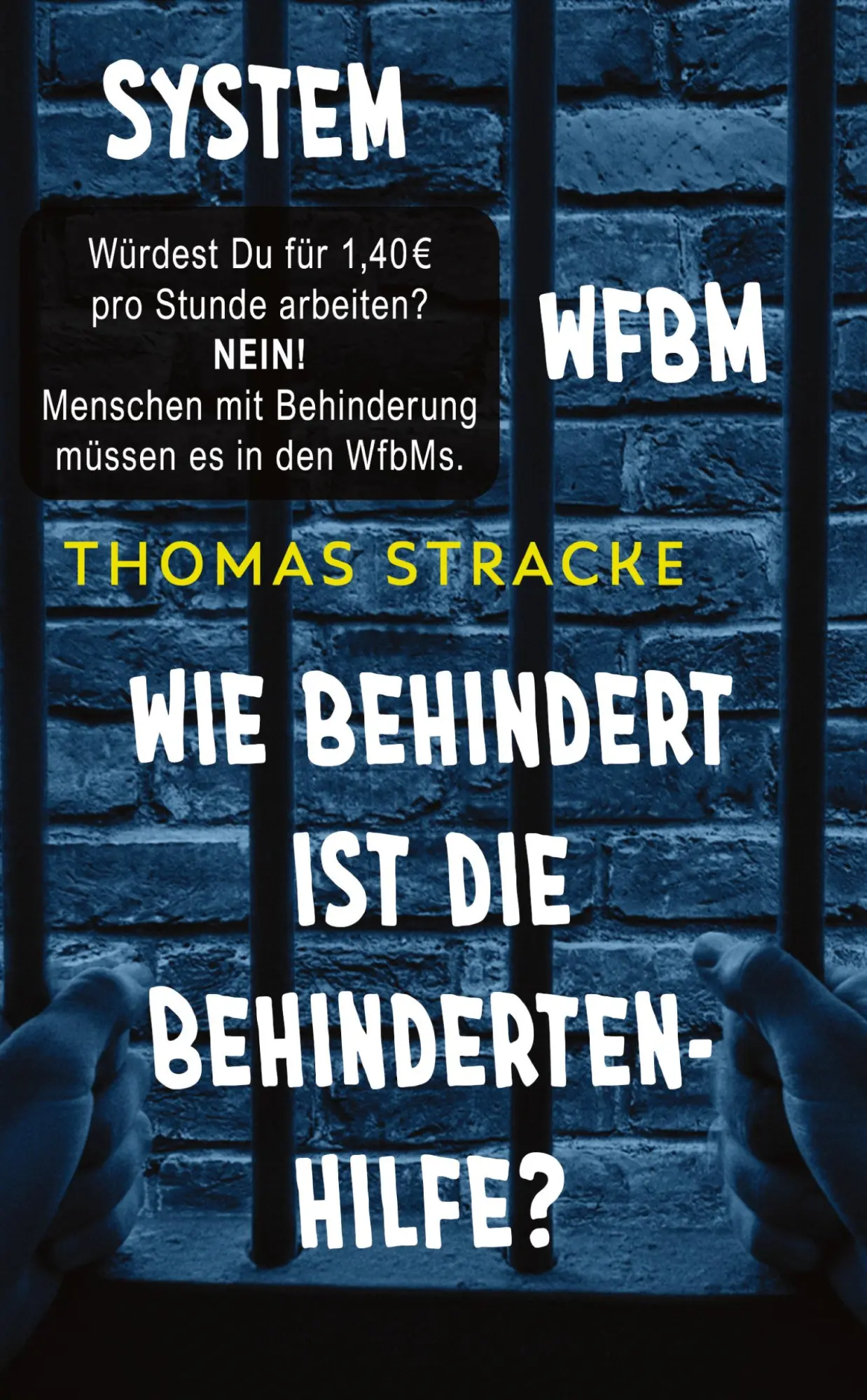 Cover: 9783384781154 | System WfbM | Wie behindert ist die Behindertenhilfe? | Thomas Stracke