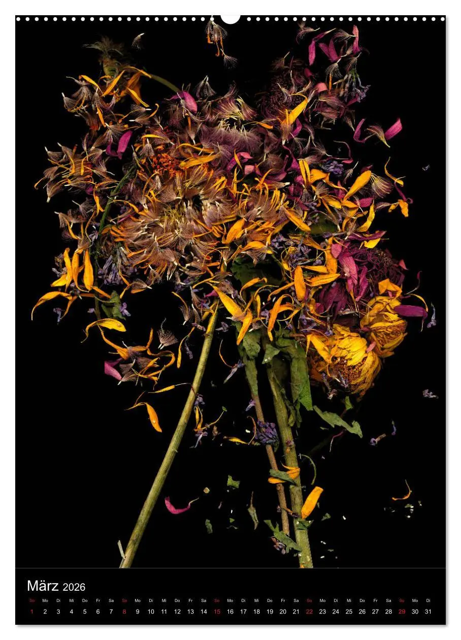 Bild: 9783516371154 | Blumen bei Nacht (hochwertiger Premium Wandkalender 2026 DIN A2...