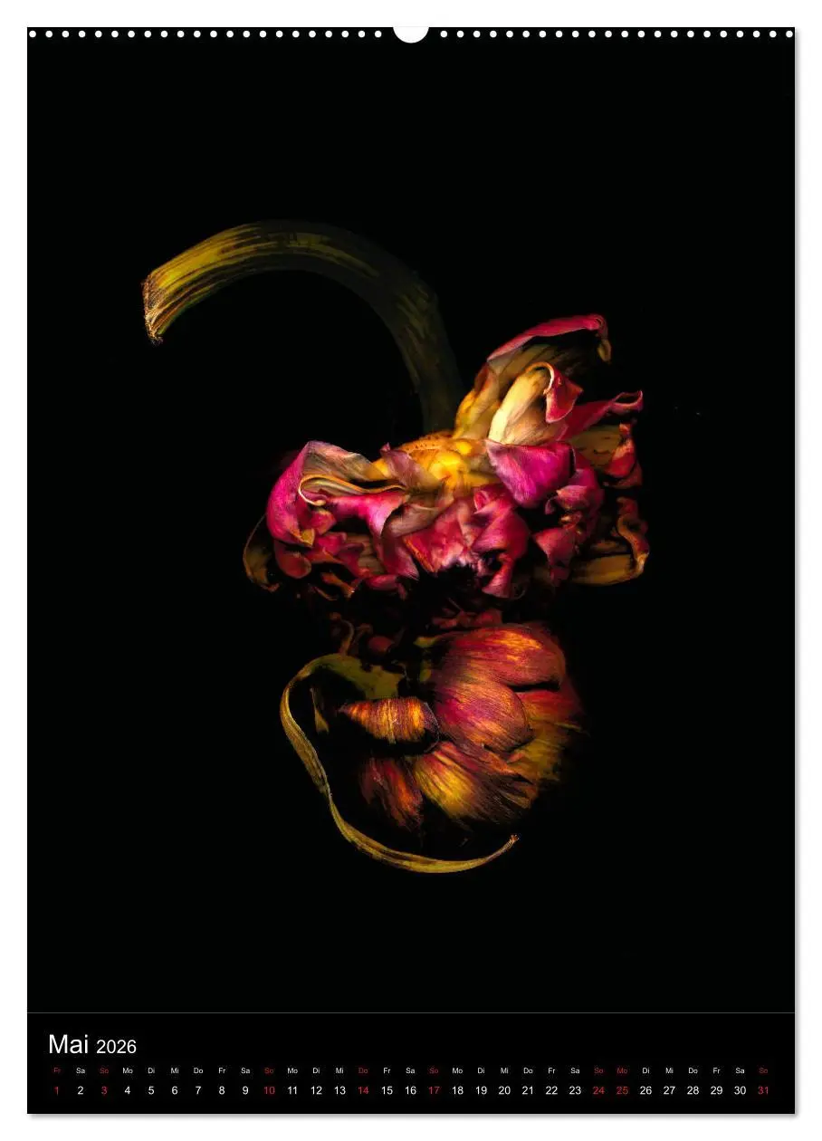 Bild: 9783516371154 | Blumen bei Nacht (hochwertiger Premium Wandkalender 2026 DIN A2...