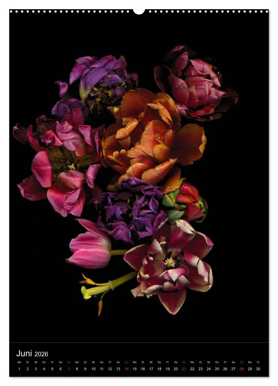 Bild: 9783516371154 | Blumen bei Nacht (hochwertiger Premium Wandkalender 2026 DIN A2...
