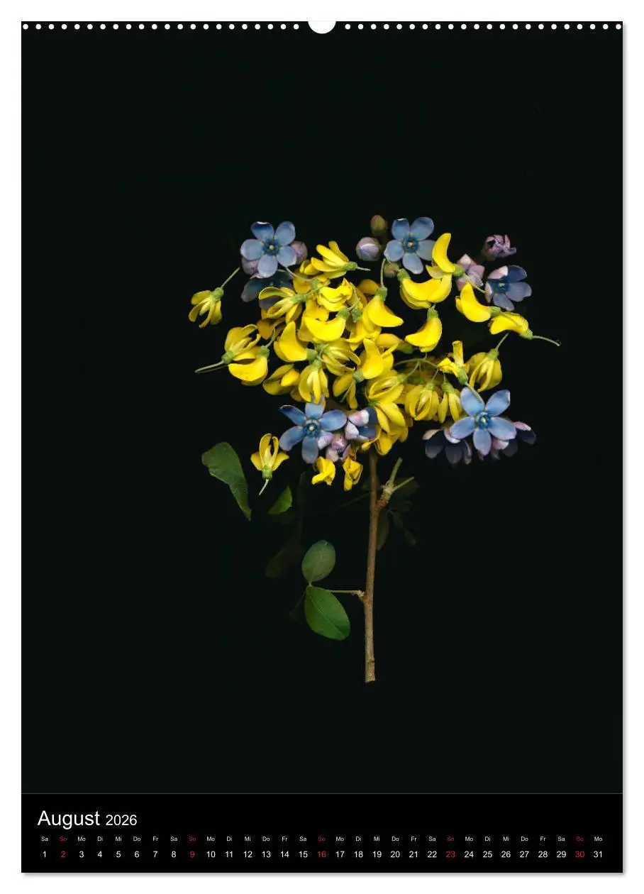 Bild: 9783516371154 | Blumen bei Nacht (hochwertiger Premium Wandkalender 2026 DIN A2...