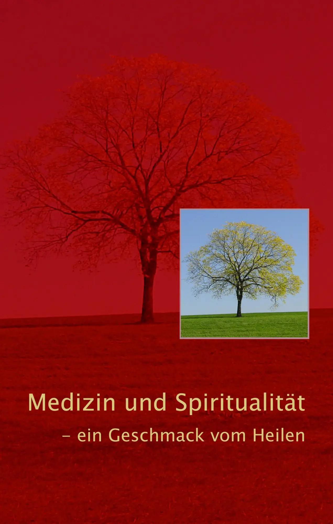 Cover: 9783833001154 | Medizin und Spiritualität | ein Geschmack vom Heilen | Platsch | Buch
