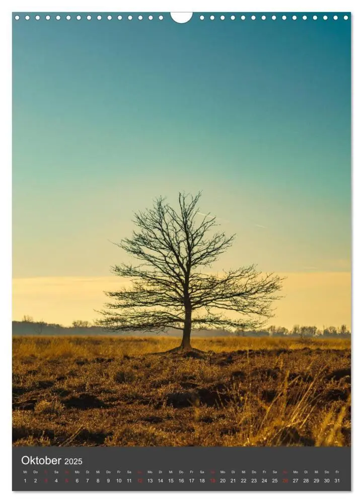 Bild: 9783435941254 | Das große Torfmoor (Wandkalender 2025 DIN A3 hoch), CALVENDO...