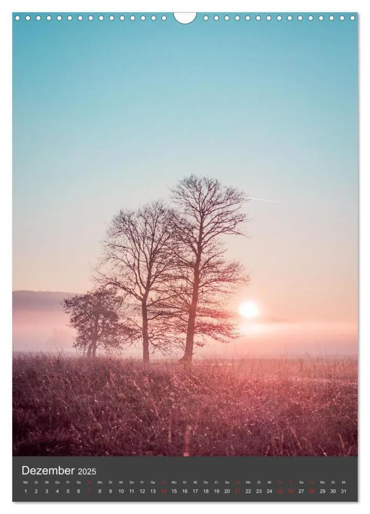 Bild: 9783435941254 | Das große Torfmoor (Wandkalender 2025 DIN A3 hoch), CALVENDO...