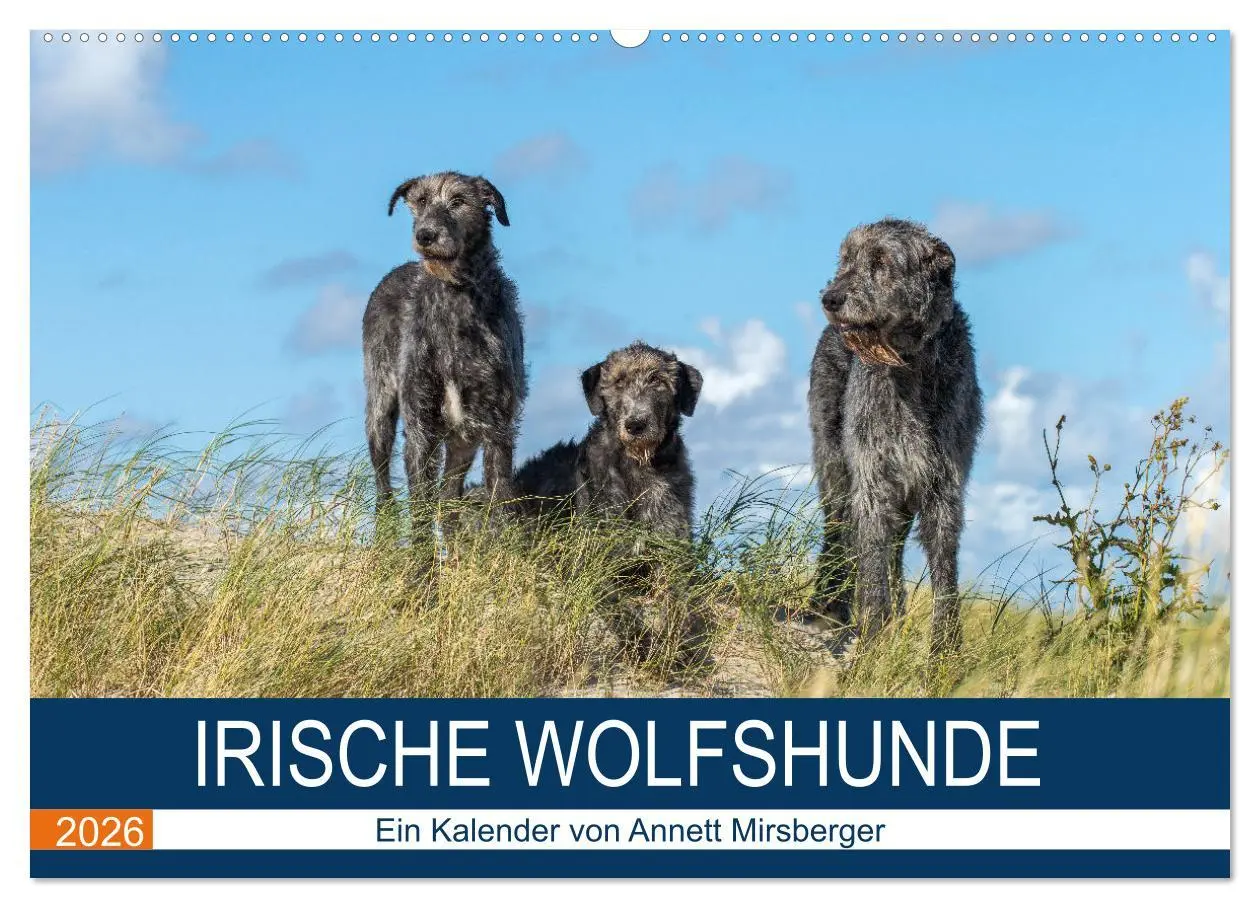 Cover: 9783457891254 | Irische Wolfshunde (Wandkalender 2026 DIN A2 quer), CALVENDO...