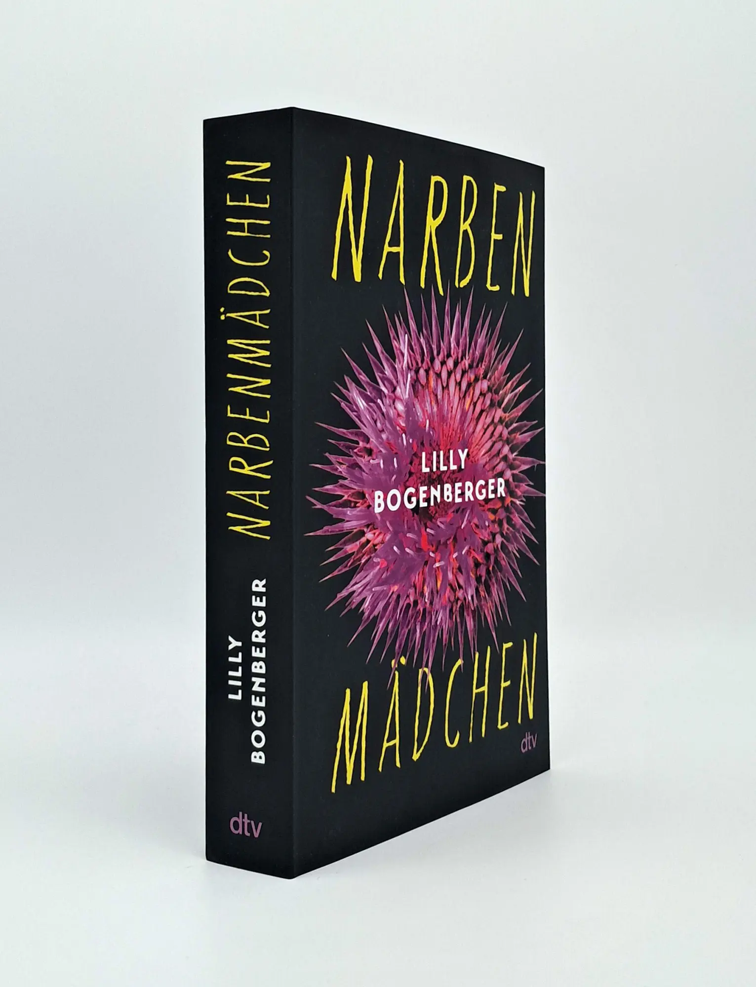 Bild: 9783423741354 | Narbenmädchen | Lilly Bogenberger | Taschenbuch | 352 S. | Deutsch