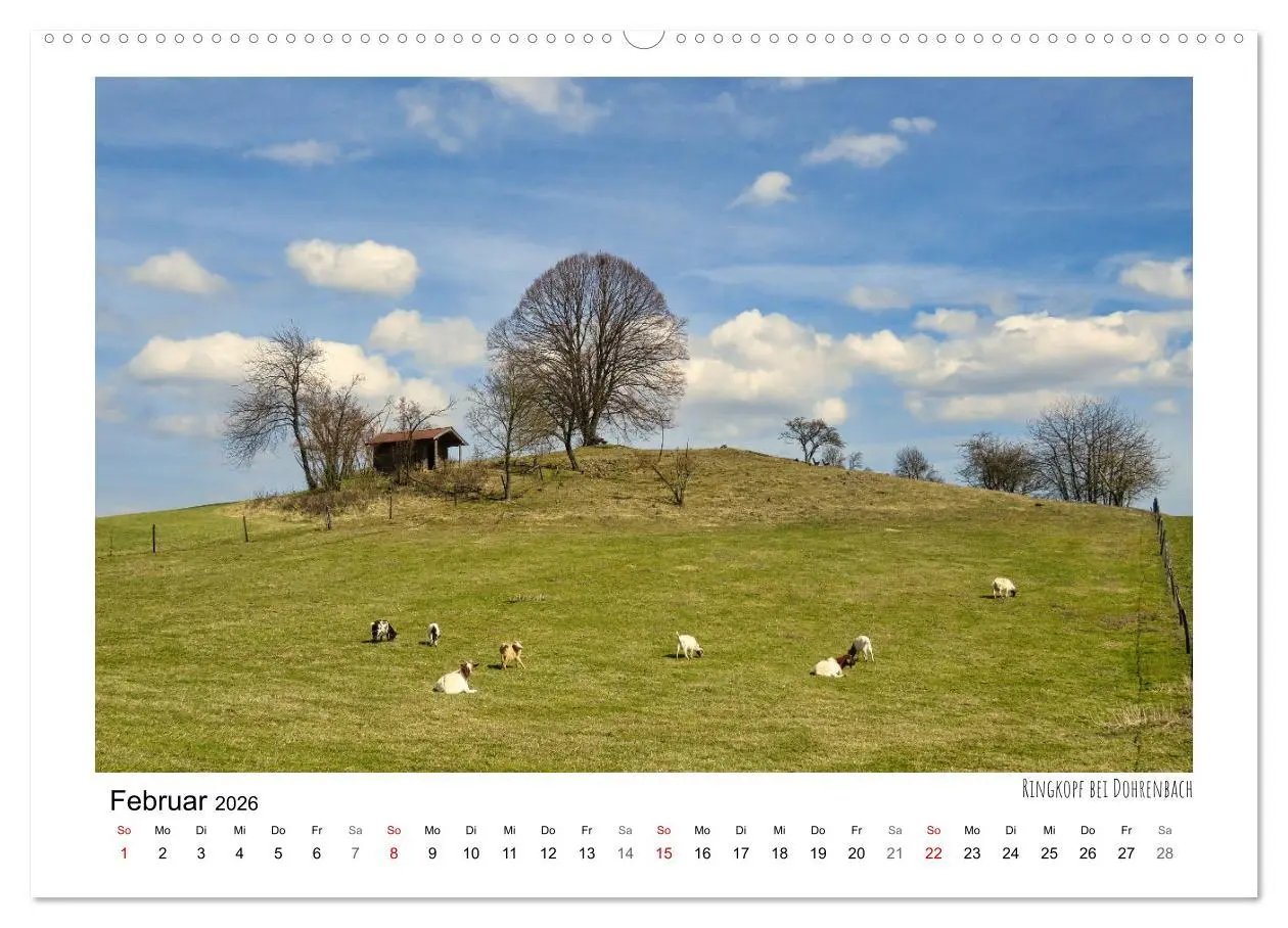 Bild: 9783457331354 | Zauberhaftes Witzenhausen (hochwertiger Premium Wandkalender 2026...