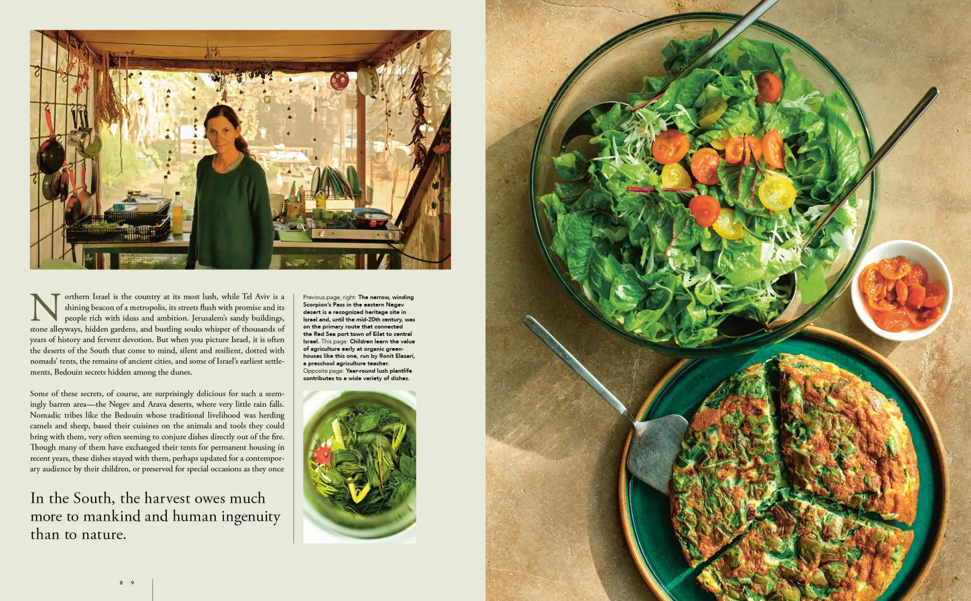 Bild: 9783967041354 | Abraham's Kitchen | Isareli and Palestinian Food Culture and Recipes