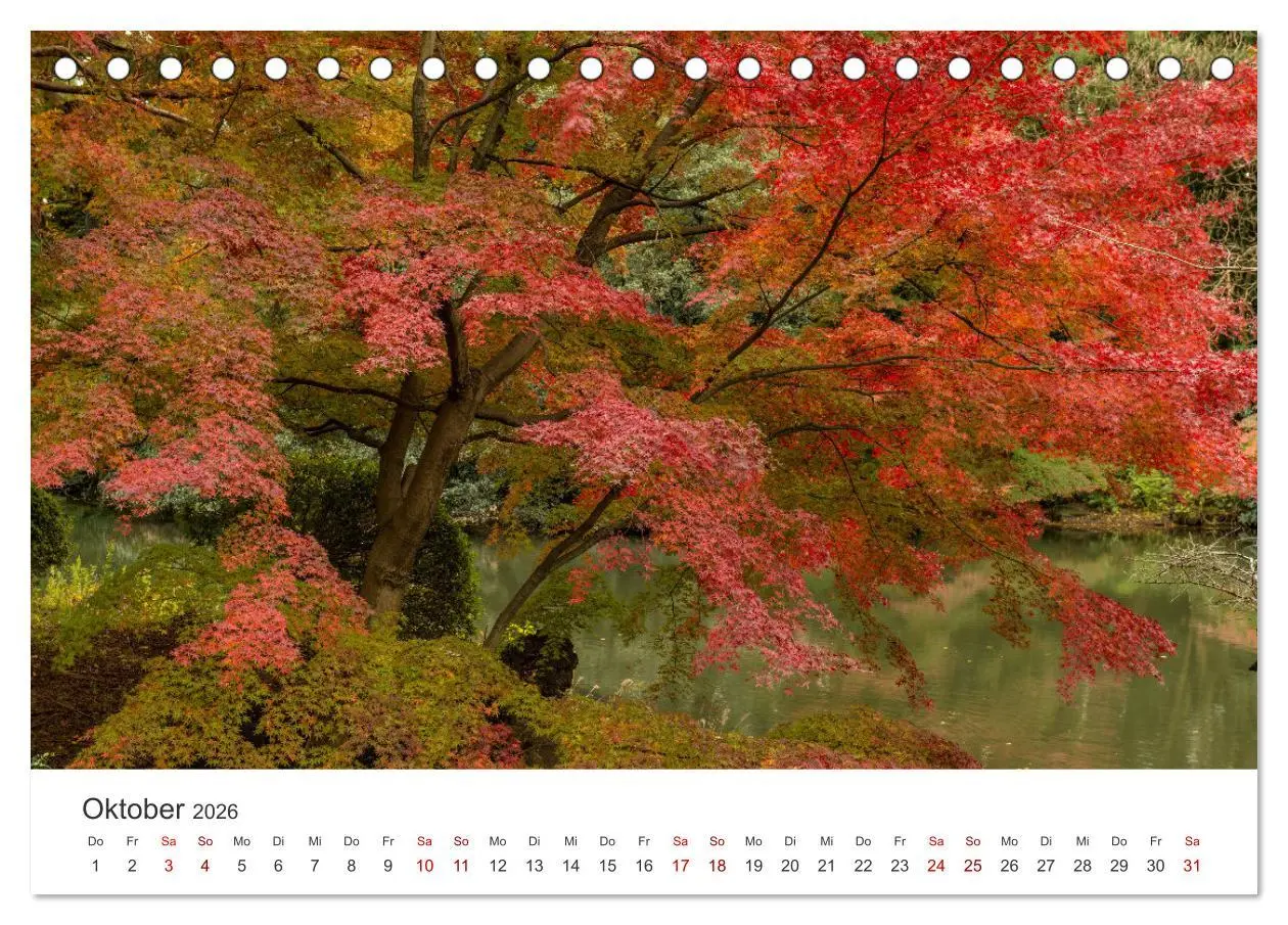 Bild: 9783457491454 | Japanischer Herbst und Laub (Tischkalender 2026 DIN A5 quer),...