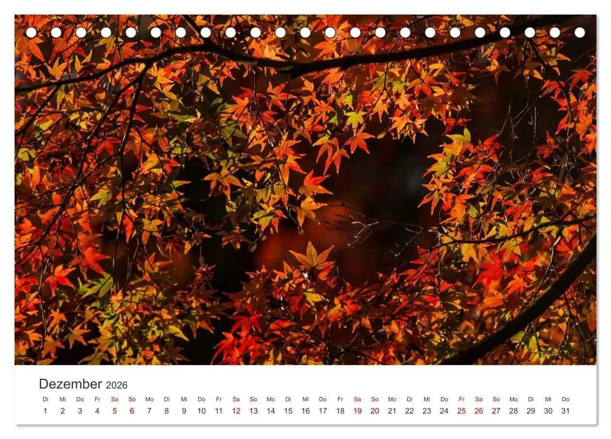 Bild: 9783457491454 | Japanischer Herbst und Laub (Tischkalender 2026 DIN A5 quer),...