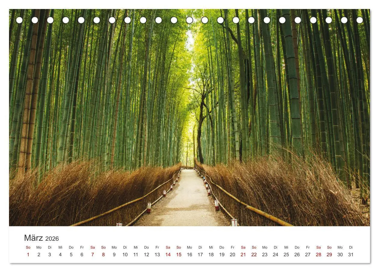 Bild: 9783457491454 | Japanischer Herbst und Laub (Tischkalender 2026 DIN A5 quer),...