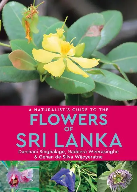 Cover: 9781912081554 | A Naturalist's Guide to the Flowers of Sri Lanka | Wijeyeratne | Buch