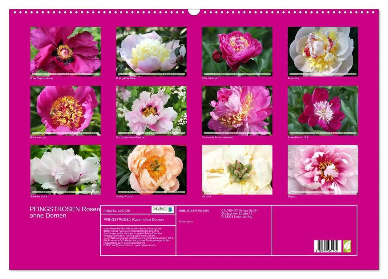 Bild: 9783457931554 | PFINGSTROSEN Rosen ohne Dornen (Wandkalender 2026 DIN A2 quer),...