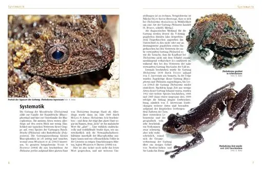 Bild: 9783866591554 | Moosfrösche | Die Gattung Theloderma | Kriton Kunz (u. a.) | Buch