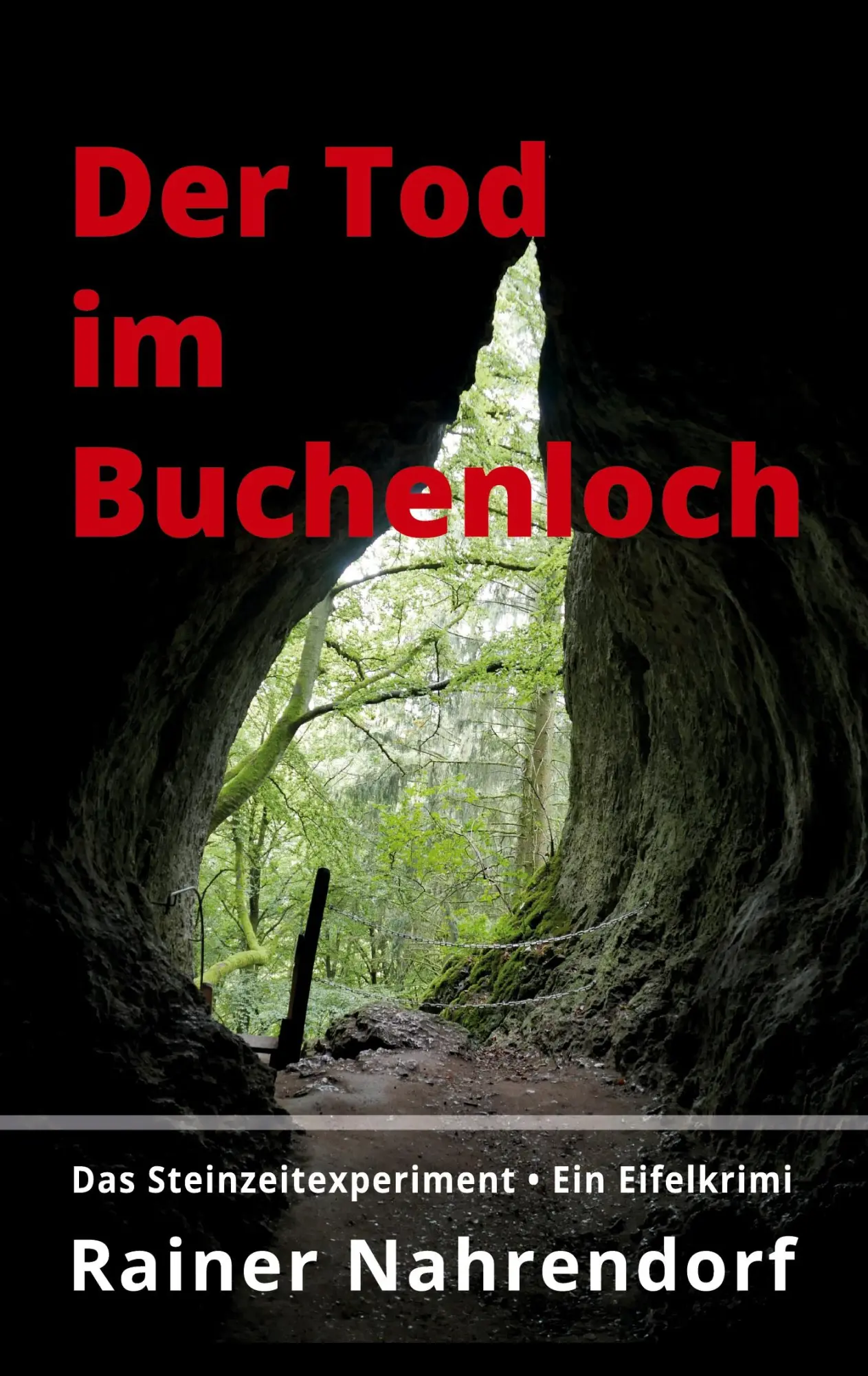 Cover: 9783347031654 | Der Tod im Buchenloch. Das Steinzeitexperiment | Rainer Nahrendorf