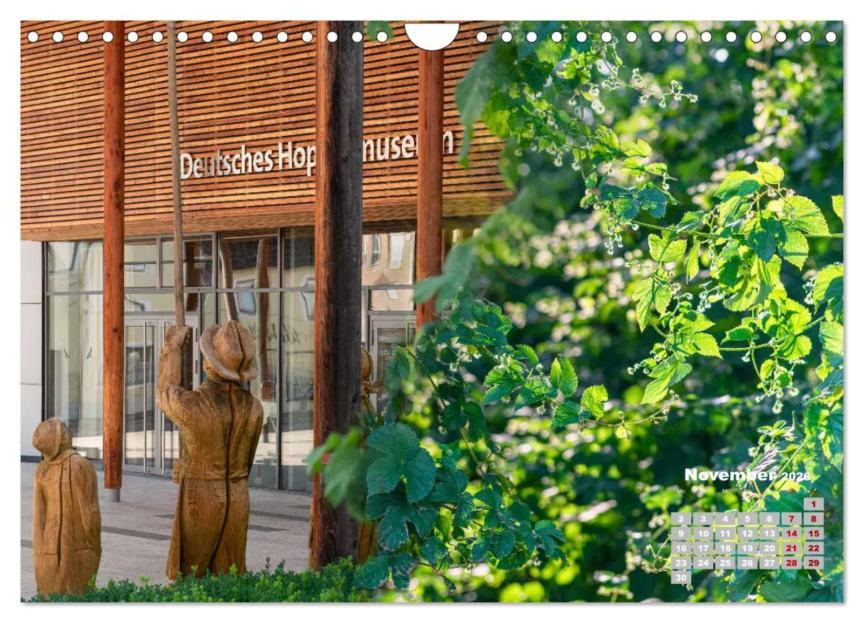 Bild: 9783457781654 | Hopfenland Holledau (Wandkalender 2026 DIN A4 quer), CALVENDO...