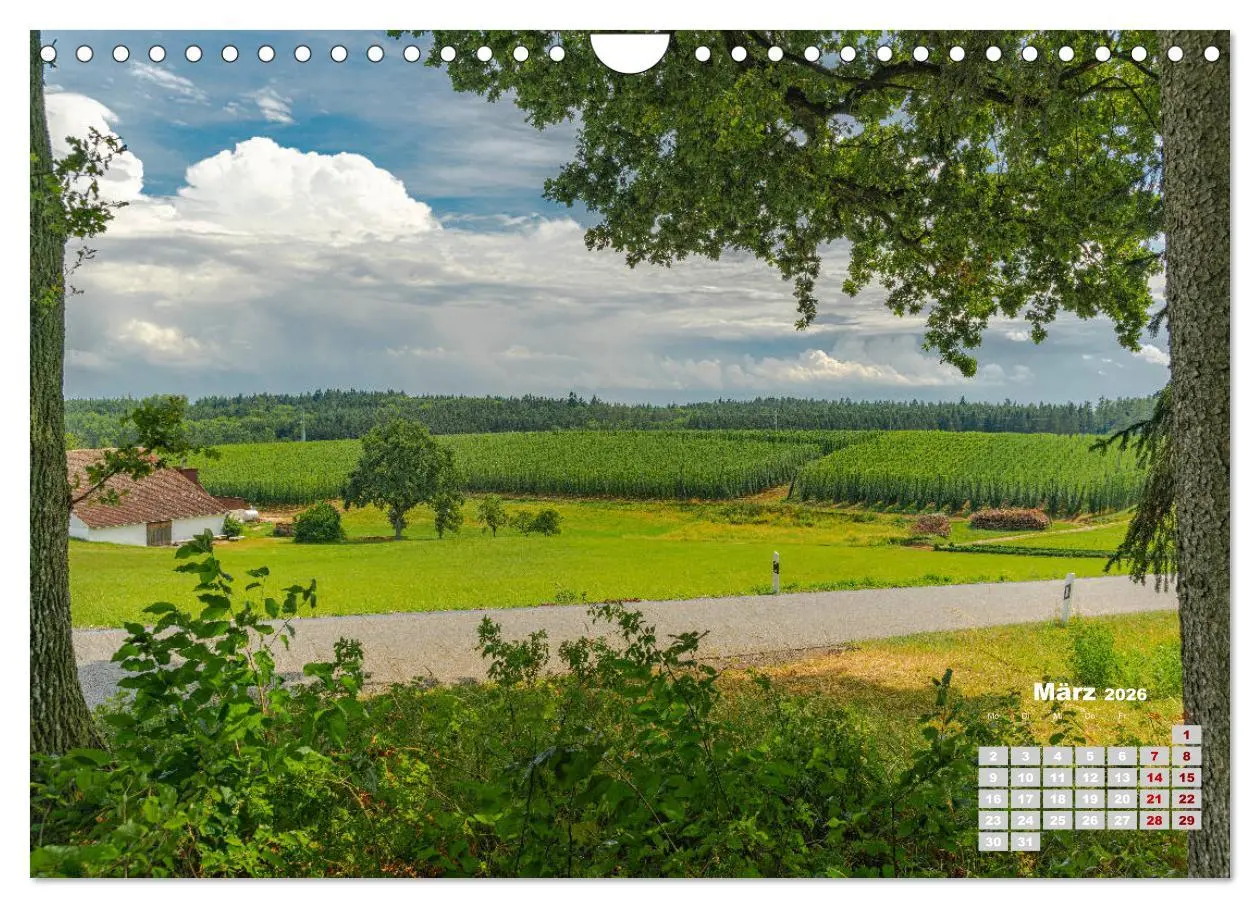 Bild: 9783457781654 | Hopfenland Holledau (Wandkalender 2026 DIN A4 quer), CALVENDO...