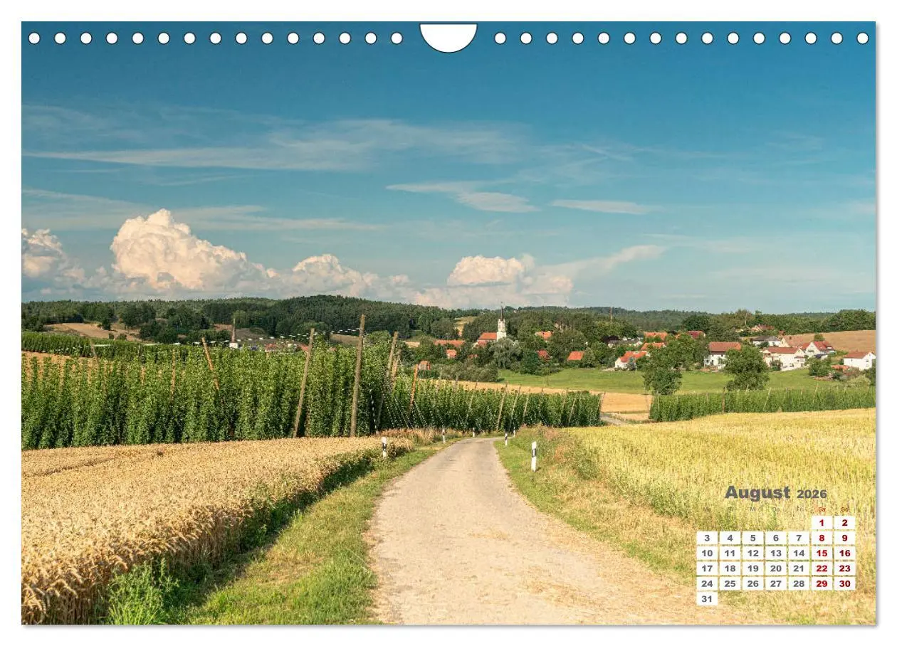 Bild: 9783457781654 | Hopfenland Holledau (Wandkalender 2026 DIN A4 quer), CALVENDO...