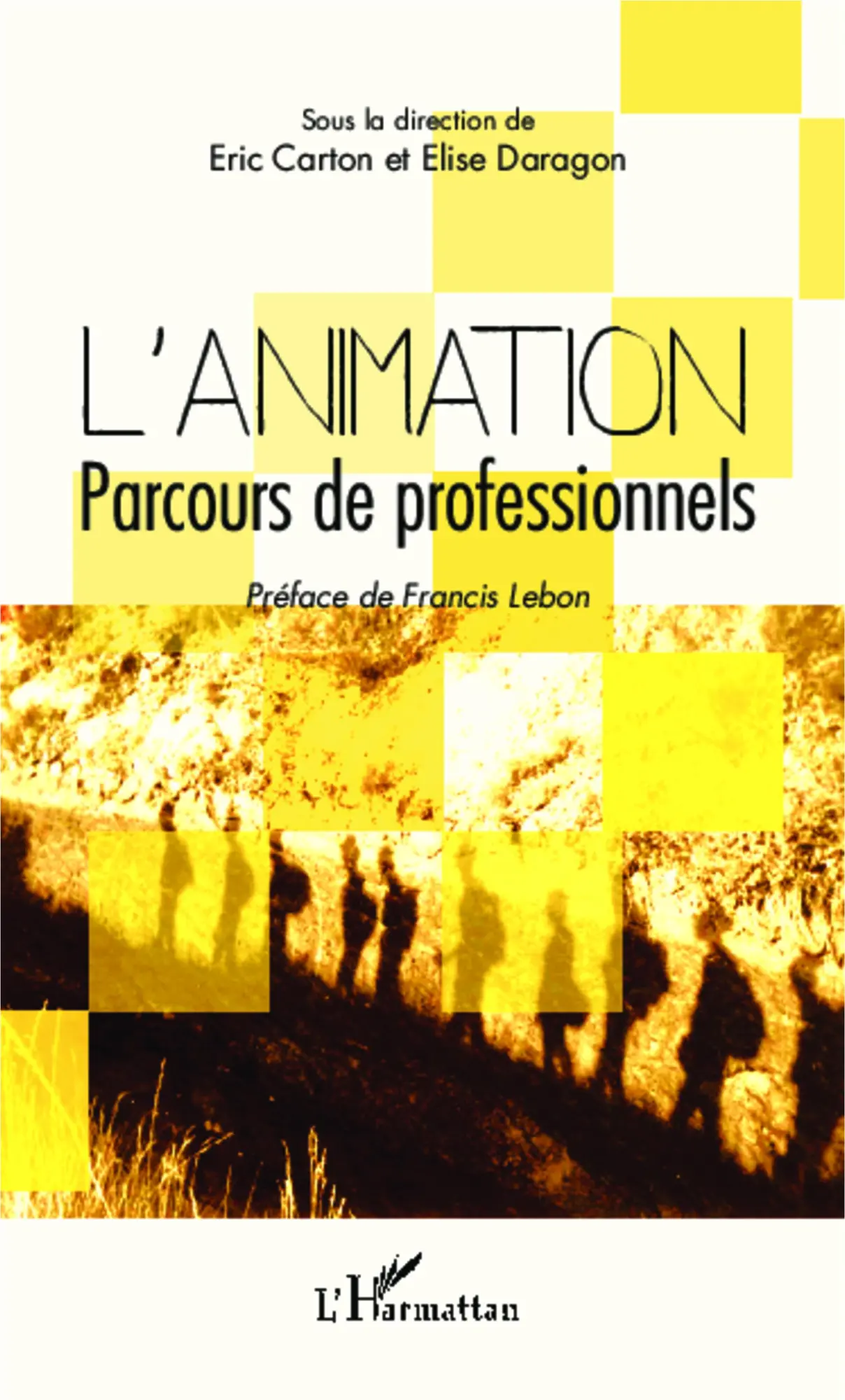 Cover: 9782336301754 | L'animation | Parcours de professionnels | Elise Daragon (u. a.)