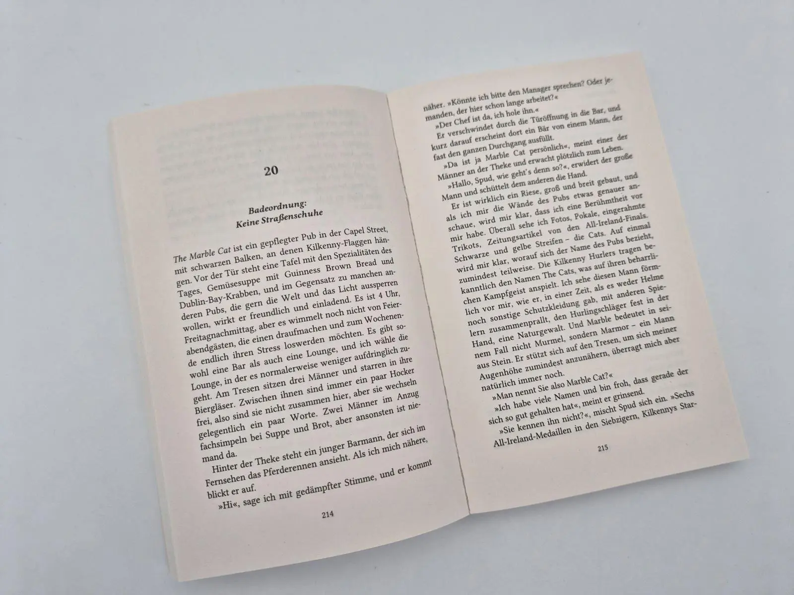 Bild: 9783492321754 | Der Glasmurmelsammler | Cecelia Ahern | Taschenbuch | 368 S. | Deutsch