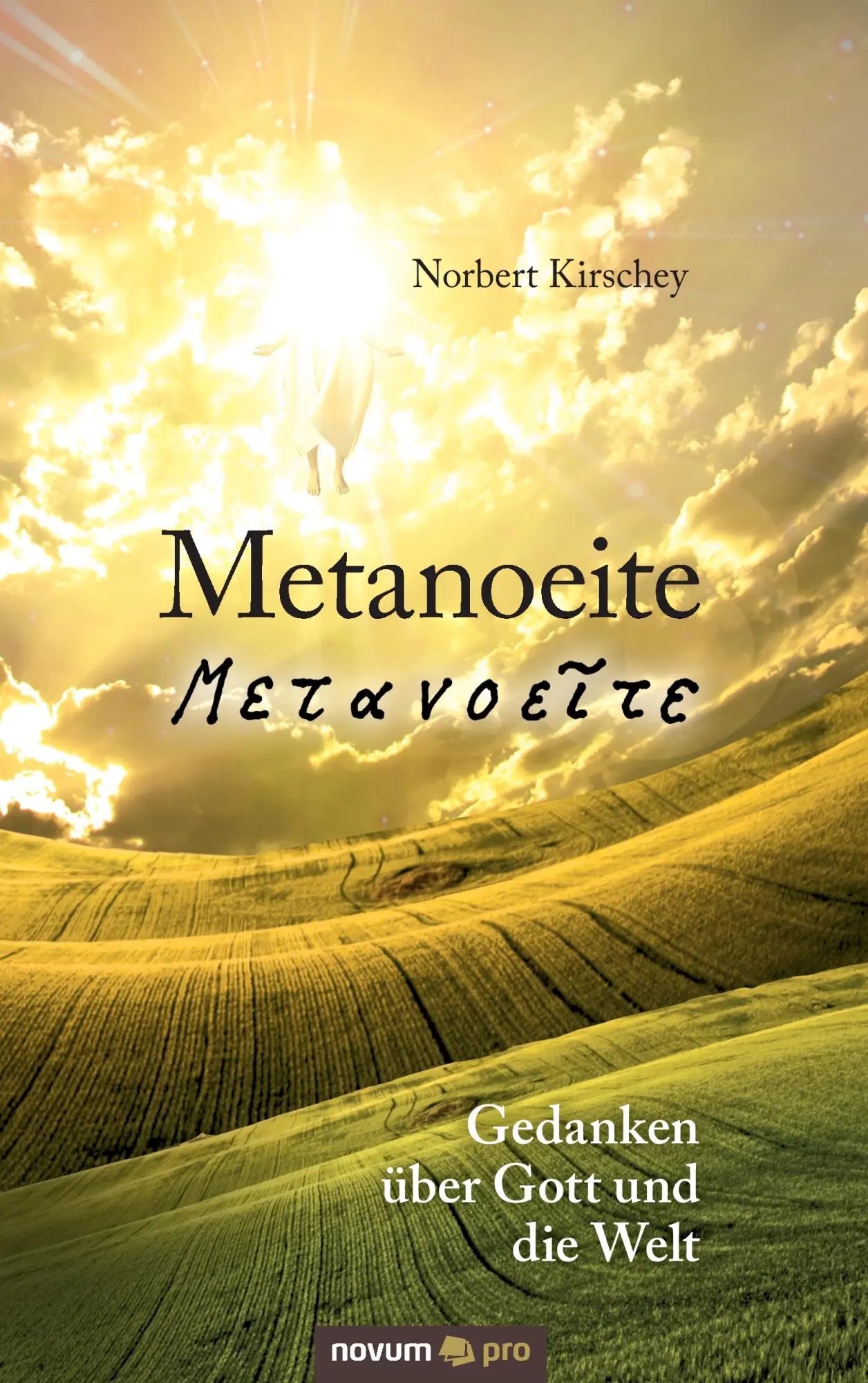 Cover: 9783958401754 | Metanoeite | Gedanken über Gott und die Welt | Norbert Kirschey | Buch